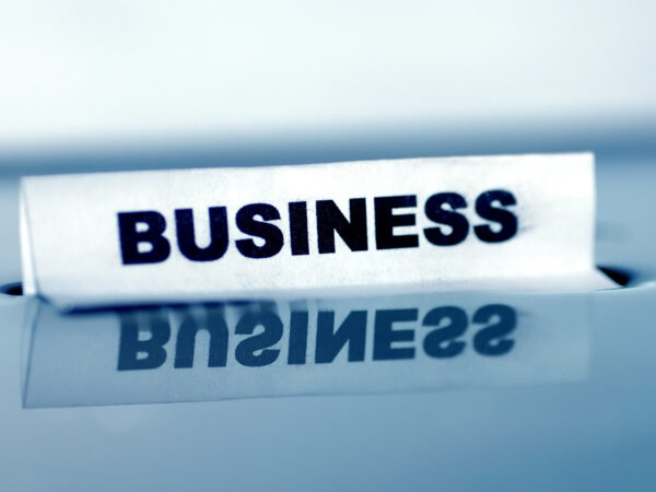 Business Description Meaning in Hindi