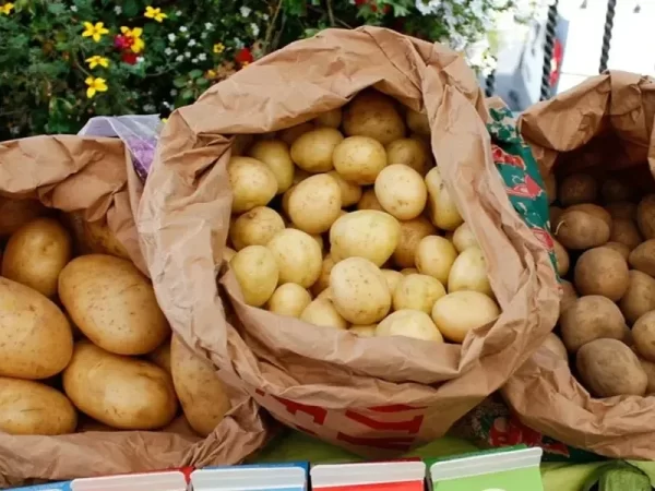 News About Potatoes