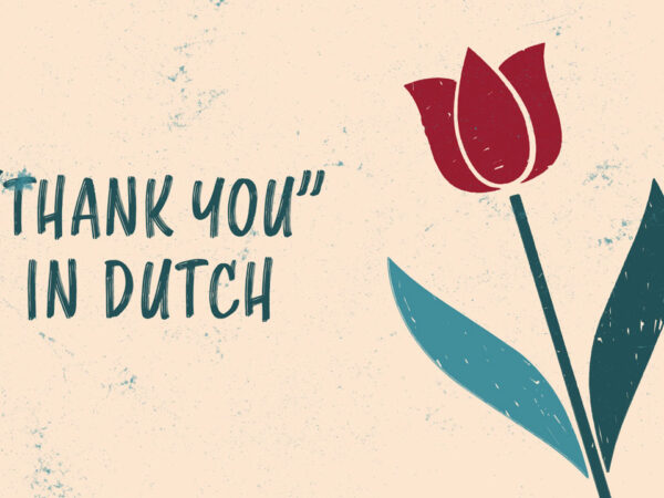 How to Say Thank You in Dutch